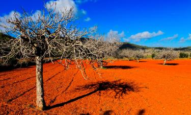 Villaer i Santa Gertrudis de Fruitera