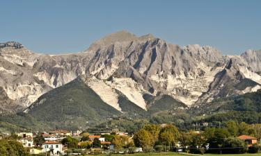 Apartments in Massa