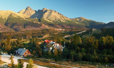 Hotels in Vysoke Tatry - Tatranska Lomnica.