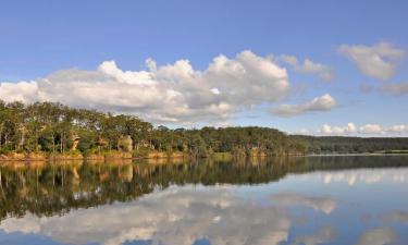 Cabañas y casas de campo en Bomaderry