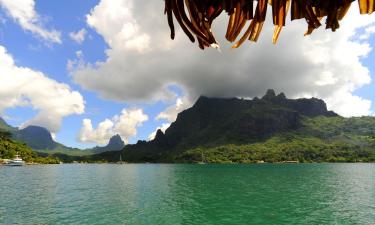 Hotels in Teahupoo