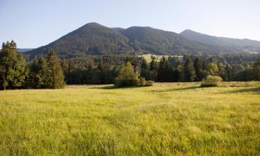 Hoteles con parking en Görisried