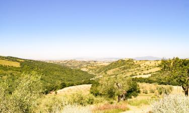 Alquileres vacacionales en Cana