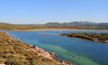 Alquileres vacacionales en Porto Pollo