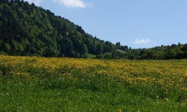 Parkolóval rendelkező hotelek Vendin-le-Vieilben