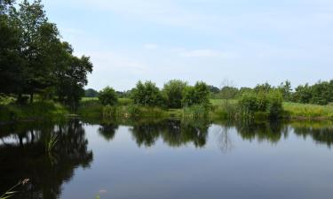 Hoteles en Twijzelerheide