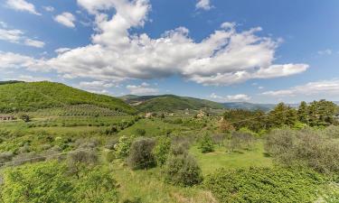 Rentas vacacionales en Torri