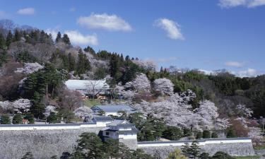 Alojamientos con onsen en Nihommatsu