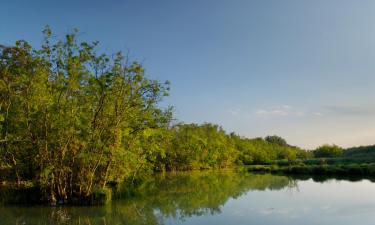 Hotely s parkováním v destinaci Rondissone