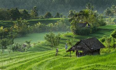 Hotels in Jatiluwih