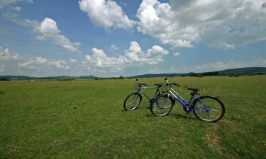 Hotels met Parkeren in Izel