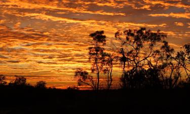 Hotels with Parking in Cunnamulla