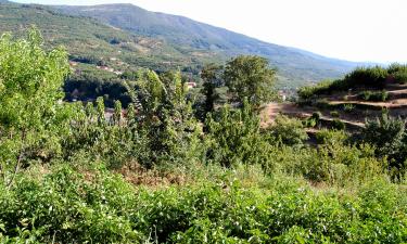 Country Houses in Navaconcejo