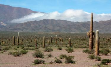 Lodges in Chilecito