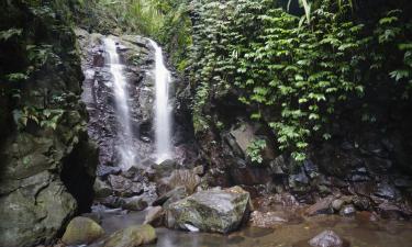 Glamping Sites in Canungra