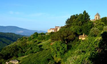 Bed & breakfast a Rogliano