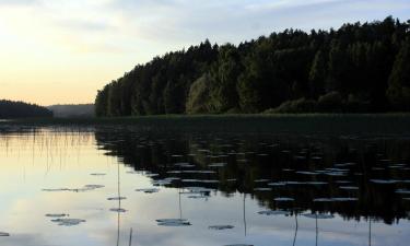 Case de vacanță în Hartola