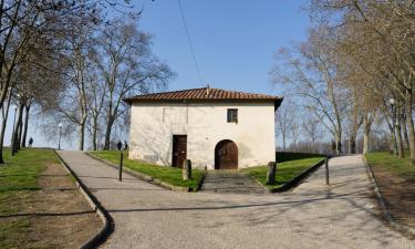 Departamentos en Capannori