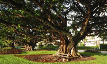 Hotéis em Palm Beach Gardens