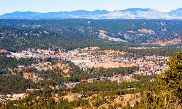 Hoteles que aceptan mascotas en Woodland Park