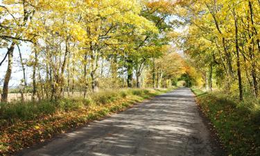 Holiday Rentals in Leavenheath