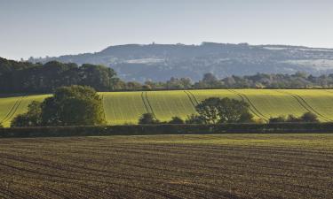 Holiday Rentals in Naunton