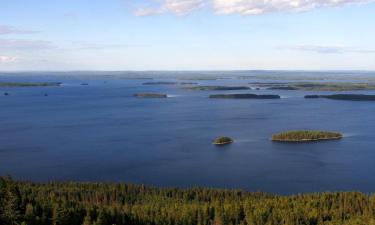 Domki wiejskie w mieście Vuonislahti