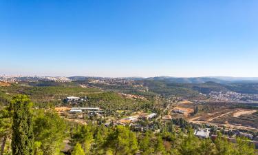 Alquileres vacacionales en Maale Hahamisha