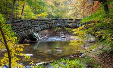 Haustierfreundliche Hotels in Takoma Park