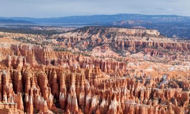 Pet-Friendly Hotels in Bryce Canyon