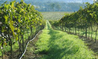 B&Bs in Stanthorpe