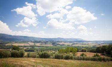 Hôtels à Massa Martana