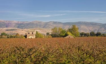 Bed and Breakfasts en Foiano della Chiana