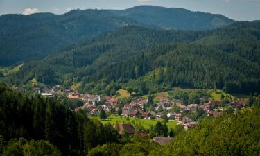 Hostales y pensiones en Furtwangen