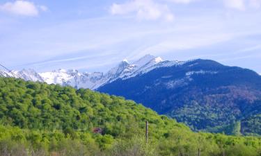 Allotjaments vacacionals a Arpaşu de Sus