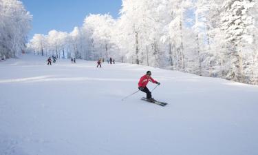 Ski Resorts in Fügenberg