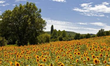 Viešbučiai su baseinais mieste Valeilles