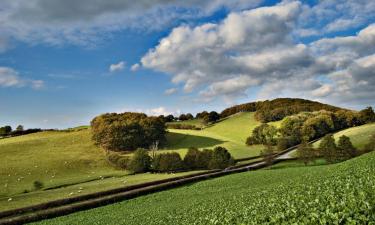 Cottages in Cray