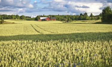 Hotell med parkering i Vikingstad