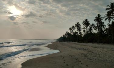 Hoteles en Palomino