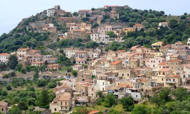 Apartments in Corbara