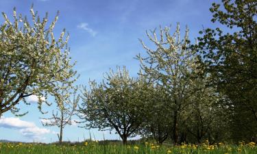 Hotéis em Königsfeld im Schwarzwald