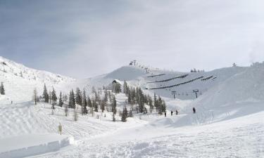 Ski Resorts in Daar