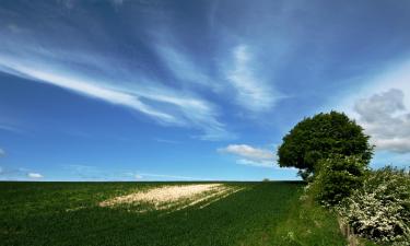 Hoteles en Great Driffield