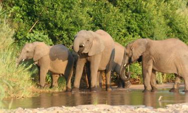 Lodges in Karongwe Game Reserve