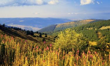 Hotely povoľujúce pobyt s domácimi zvieratami v destinácii La Bastide-Puylaurent