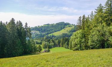 Viesnīcas ar autostāvvietu pilsētā Wald