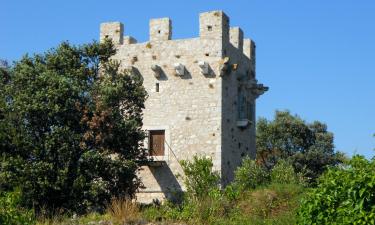 Apartamentos em Olib