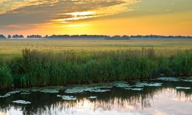 Hotels met Parkeren in Wapserveen