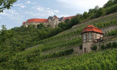 Neuenburg am Rhein şehrindeki oteller